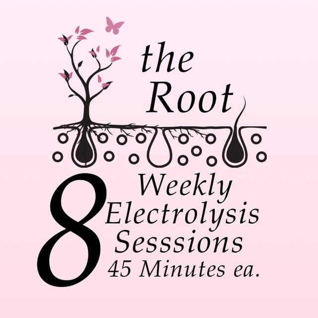 The Root at La Fève Aesthetics & Apothecary in Spokane, WA