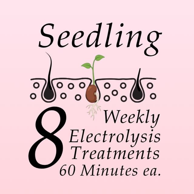 The Seedling at La Fève Aesthetics & Apothecary in Spokane, WA